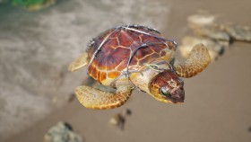 热门<em>游戏</em>盘点：水下橄榄球模拟器掀起肺活量比拼热潮
